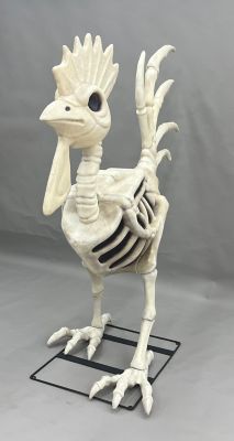 a skeleton bird standing on top of a black stand