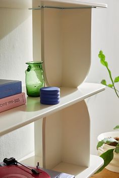 a shelf with books and vases on top of it next to a potted plant