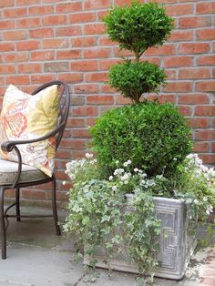 a chair sitting next to a potted plant in front of a brick wall