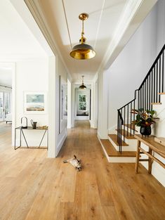 a cat is laying on the floor in front of some stairs and railings,