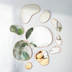 several mirrors are arranged on the wall near a plant and a mirror that is shaped like oval shapes