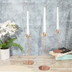 three candles are sitting on a table next to some books and a potted plant