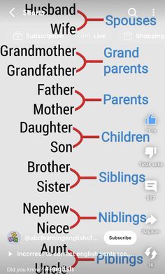 the family tree is shown in blue and red, as well as other words on white