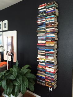 a room filled with lots of books next to a wall mounted mirror and potted plant