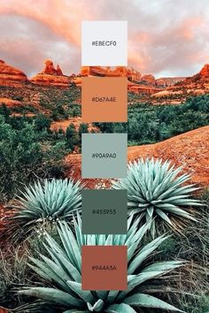 the color palettes for this desert scene are different