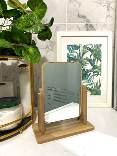 a mirror sitting on top of a table next to a potted leafy plant