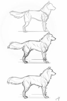 three different types of dogs are shown in this drawing lesson for beginners to learn how to