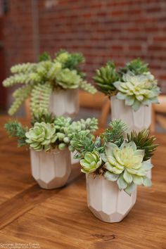 three white vases filled with green plants on top of a wooden table