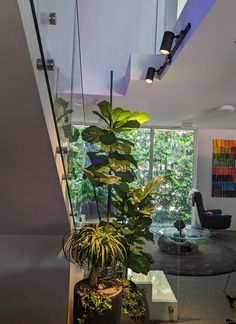 a living room filled with lots of plants next to a glass wall covered in windows