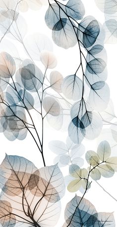 leaves are shown on the white background with blue and green colors in it's branches