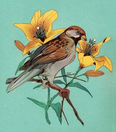 a bird sitting on top of a branch with yellow flowers in it's beak