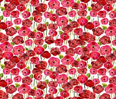 an image of red flowers on white background