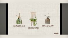 three different types of vases with plants in them and the names on each one