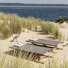 an empty beach with lounge chairs and a bird standing on top of the sand by the water