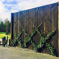 a wooden fence with vines growing on it