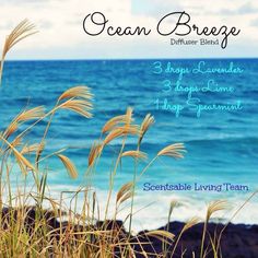 Ocean breeze diffuser blend Perfume Diy, Make Perfume, Doterra Diffuser Blends, Lamp Oil, Essential Oil Remedy