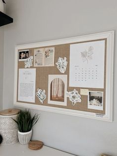 a cork board with pictures and photos on it next to a potted plant in front of a white wall