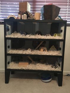 a shelf filled with lots of different types of items on top of carpeted floor