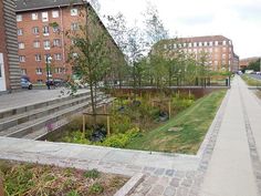 an urban park with steps leading up to the building