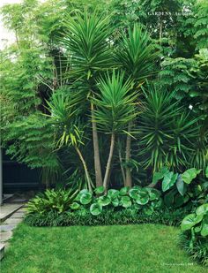 a garden with lots of green plants and trees