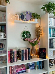 a white book shelf filled with lots of books next to a potted plant on top of it