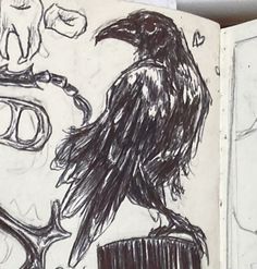 a drawing of a black bird sitting on top of a piece of paper