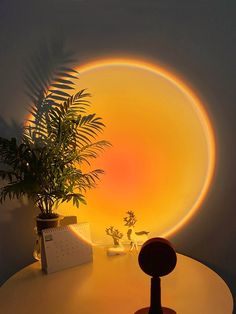 a potted plant sitting on top of a white table next to a yellow light