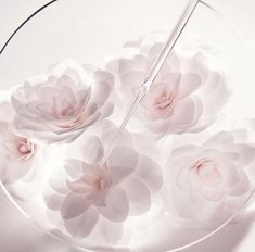 a glass plate with pink flowers on it