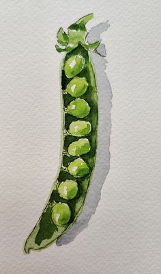 a watercolor painting of a pea pod