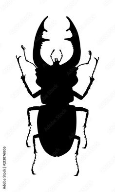 a black and white silhouette of a beetle