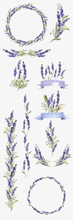 lavender flowers are arranged in the shape of oval frames