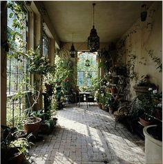 a room filled with lots of potted plants next to a window covered in sunlight