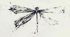 an ink drawing of a dragonfly sitting on top of a piece of white paper