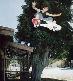 a man flying through the air while riding a skateboard on top of a tree