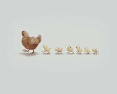 a chicken and her chicks are walking in the same direction on a light blue background