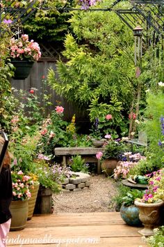 an outdoor garden with lots of flowers and plants