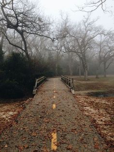 a foggy path leading to a park with benches and trees on either side in the distance