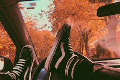 someone's feet sticking their head out the window of a car on an autumn day