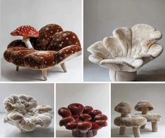 four different types of mushrooms sitting on top of each other