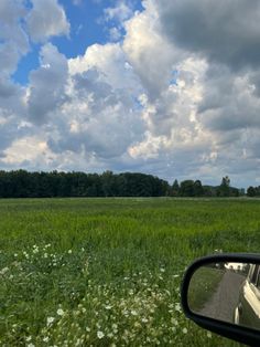 a field with grass and trees in the background as seen from a car window on a cloudy day