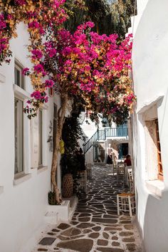 an alley way with white buildings and pink flowers growing on the side of each building