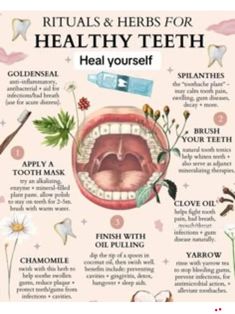 Rituals and Herbs for Healthy Teeth heal Yourself - Etsy دورة شهرية, Medical Herbs, Teeth Health, Natural Healing Remedies, Herbal Healing, Home Health Remedies, Herbs For Health, Teeth Care, Natural Health Remedies