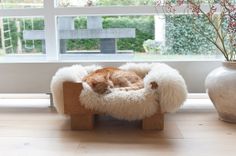 an orange and white cat sleeping in a dog bed next to a vase with flowers