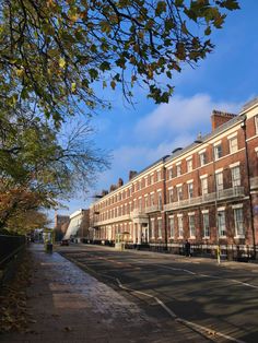 an empty city street lined with brick buildings and trees in the foreground, on a sunny day