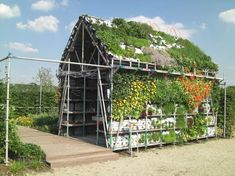 a house covered in plants and flowers on the side of a dirt road with scaffolding around it