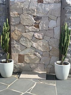 two potted plants sitting next to each other on a stone floor near a rock wall