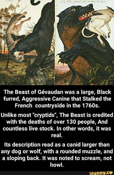 the beast of gerudan was a large, black furry - headed, aggressive creature