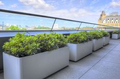 there are many planters on the roof of this building