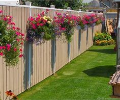 three different types of flowers hanging on the side of a fence