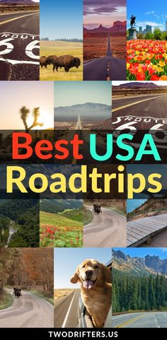 the best usa roadtrips book cover with images of animals, flowers and roads